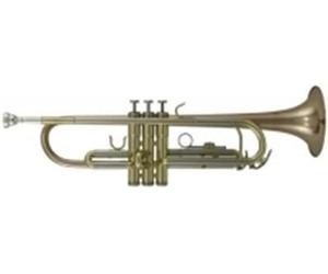 Roy Benson Student Pro Series Trompette en Sib TR-202G