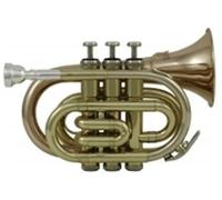 Roy Benson Student Series Trompette de poche Sib PT-101G