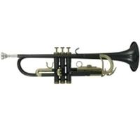Roy Benson Student Series Trompette en Sib TR-101K anthracite
