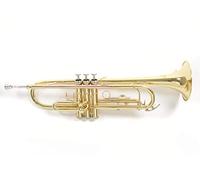 Roy Benson TR-101 Trompette Sib