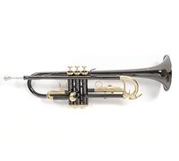 Roy Benson TR-101K Trompette Sib anthracite