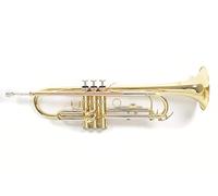 Roy Benson TR-202 Bb Trompette