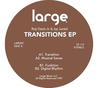 Roy Davis Jr. - Transitions