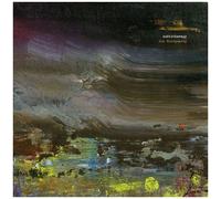 Roy Montgomery - Audiotherapy [Cd]