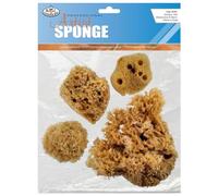 Royal and Langnickel Combi Lot de 4 éponges Neutres