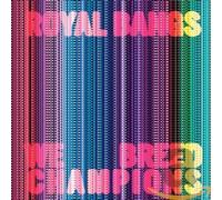 Royal Bangs - We Breed Champions -Digi-