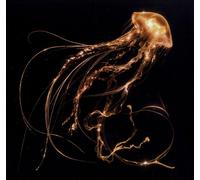 ROYAL BLOOD - BACK TO THE WATER BELOW VINYL LP NEUF