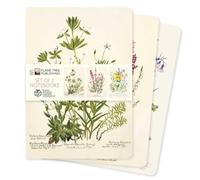 Royal Botanic Gardens Edinburgh Set of 3 Standard Notebooks