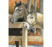 Royal Brush Crayon de Couleur par numéro, Multicolore