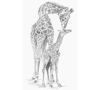 Royal Brush Esquisse Made Easy Kit 22,9 x 30,5 cm -Giraffe & Baby