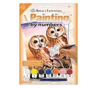 Royal Brush Petit kit de Peinture par numéro Junior 22,2 x 29,8 cm Chouettes hulottes
