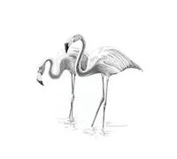 Royal Brush Kit Sketching Made Easy – mini flamants roses, 12,7 x 17,8 cm