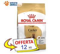 Royal Canin Cocker Adult Croquettes pour Chien 12kg