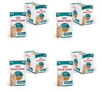 ROYAL CANIN AGEING 11+ Gelée | Pack de 4 | 4 x 12 x 85 g | Nourriture Humide pour Chats Seniors à partir de 11 Ans | Formule avec Le Complexe HealthyAge7™ | Morceaux en gelée