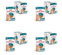 ROYAL CANIN AGEING 11+ Sauce | Pack de 4 | 4 x 12 x 85 g | Nourriture Humide pour Chats Seniors à partir de 11 Ans | Formule avec Le Complexe HealthyAge7™ | Morceaux en Sauce
