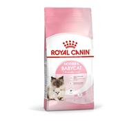 Royal Canin/Babycat sac de 2 kg croquettes pour chaton de 1 à 4 mois