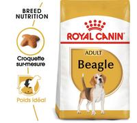 Croquettes Royal Canin Beagle Adulte Sac 12 kg