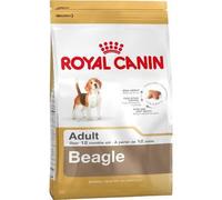 Royal Canin Beagle Adulte