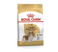 Royal Canin BHN Cavalier King Charles Adulte Aliment 7,5 kg