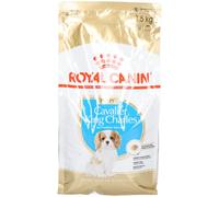 Royal Canin BHN Cavalier King Charles Puppy Aliment 1,5 kg
