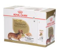 Royal Canin Dachshund Adult Mousse – Aliment complet pour teckels adultes – 12 x 85 g