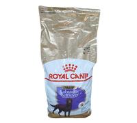 Royal Canin BHN Labrador Retriever Sterilised Croquettes pour chiens Aliment 12 kg