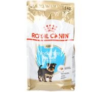 Royal Canin – Croquettes Yorkshire Terrier Junior pour chiot 1,5 kg