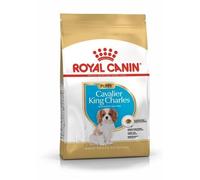 Royal Canin Breed Cavalier King Charles Junior 1,5kg