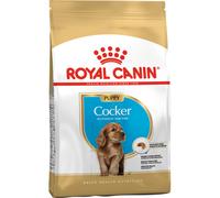 Royal Canin Croquettes pour chiot Cocker Junior de 2 à 12 mois sac de 3 kg