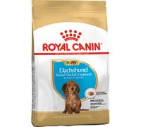ROYAL CANIN Dachshund Puppy 1,5kg