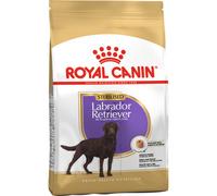 Royal Canin – Alimentation pour chien Maxi Breed Labrador Retriever Stérilisé Adulte 12 kg