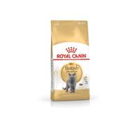 Royal Canin Breed Nutrition British Shorthair 34 - Croquettes 4 kg