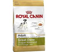 Royal Canin Croquettes Breed Nutrition Great Dane 23 (Dogue Allemand) 12 kg