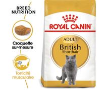 ROYAL CANIN British Shorthair Adult 2kg + GIMBORN Gim Cat Multi-vitamine Duo Pâte avec fromage 50g GRATUIT
