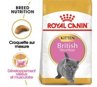 Royal Canin British Shorthair Kitten croquette pour chat 2 kg Chatons Volaille, Riz, Légumes