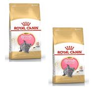 Royal Canin British Shorthair Kitten | Pack Double | 2 x 400 g | Croquettes pour Chatons BKH | Jusqu'à 12 Mois | pour Soutenir la Croissance des os et des Muscles