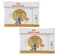 ROYAL CANIN British Shorthair Lot de 2 boîtes de nourriture pour chat 2 x 12 x 85 g