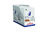 Royal Canin Cat Neutered Adult Maintenance Nourriture pour Chat 100 g - Lot de 12