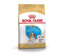 Royal Canin Cavalier King Charles Chiot 1,5kg