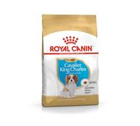 Royal Canin Cavalier King Charles Puppy | 1,5 kg | Croquettes pour Chiots | Peut Soutenir Les défenses Naturelles et la santé Cardiaque | Peut favoriser la Digestion