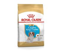 Royal Canin Cavalier King Charles Puppy | 1,5 kg | Croquettes pour Chiots | Peut Soutenir Les défenses Naturelles et la santé Cardiaque | Peut favoriser la Digestion