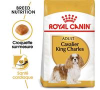 Royal Canin Croquettes Cavalier King Charles Adulte 1,5 kg