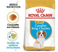 Rc Vd Cavalier King Charles Chiot 1,5kg