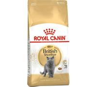 Royal Canin Chat British Shorthair Croquettes 10kg