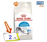 Royal Canin Chat Home Life Indoor Nourriture Sèche Pour Chats 400 G/2/10 Kg