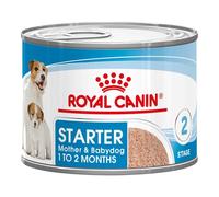 Royal Canin Chats - starter mousse 195 gr