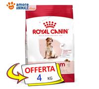 Royal Canin Chien → Adult, Medium 7 4/15 KG - Croquettes Chien, Sec Pour Chiens