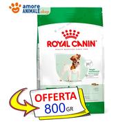 Royal Canin Chien → Adult Mini - 800 Gr /2/4/ 8 KG - Croquettes Chien, Chiens