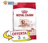 Royal Canin – Moyen Vieillissement 10-3000 GR
