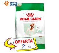 Royal Canin Chien → Adulte MINI - 2 KG - Croquettes Manteinance Chien, Sec Chien
